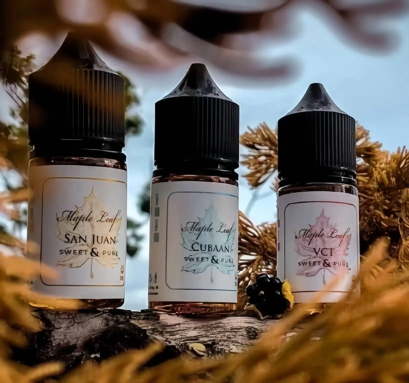 MAPLE LEAF 楓葉煙油系列:加拿大原裝高品質尼古丁鹽煙油推薦 1 MAPLE LEAF 楓葉煙油系列:加拿大原裝高品質尼古丁鹽煙油推薦