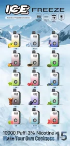 ICE FREEZE 10000 PUFFS