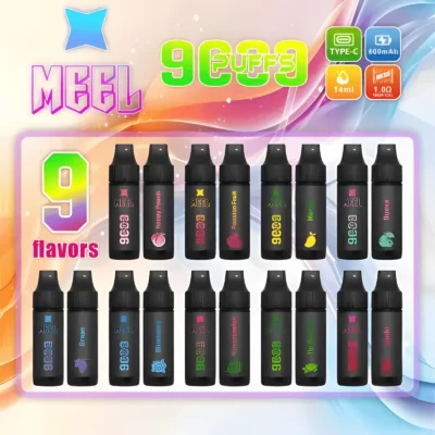 MEEL 9000 Puffs 拋棄式電子煙｜原裝正品・超長續航・9種口味・台灣現貨