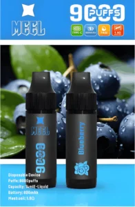 9000 Puffs 拋棄式電子煙