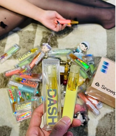 正品鴨嘴獸 Snowplus DASH 經典一次性電子煙 4000 口超長續航 × 7.5ml 大容量 5 正品鴨嘴獸 Snowplus DASH 經典一次性電子煙 4000 口超長續航 × 7.5ml 大容量:圖片 5