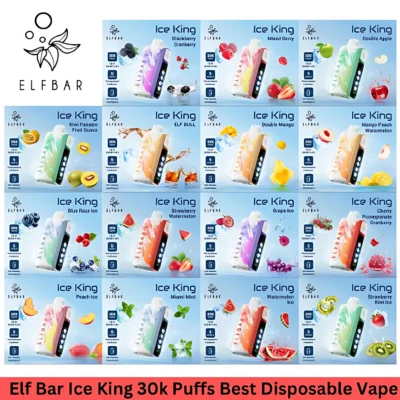 ElfBar Ice King 30000 拋棄式電子煙｜5 檔冰度調節・30K 超長續航・王嘉爾同款現貨熱銷